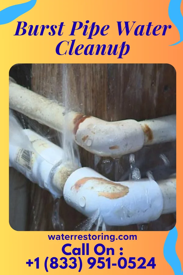 Burst Pipe Water Cleanup in Sussex, NJ