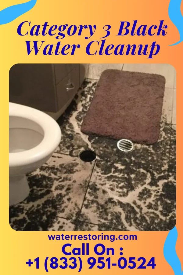 Category 3 Black Water Cleanup in Sussex, NJ