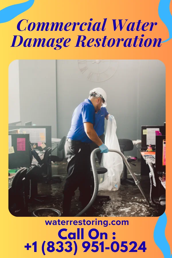 Commercial Water Damage Restoration in Sussex, NJ