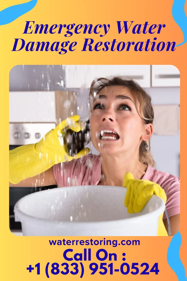 Emergency Water Damage Restoration in Sussex, NJ