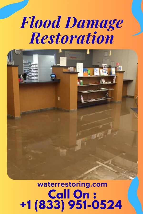 Flood Damage Restoration in Sussex, NJ