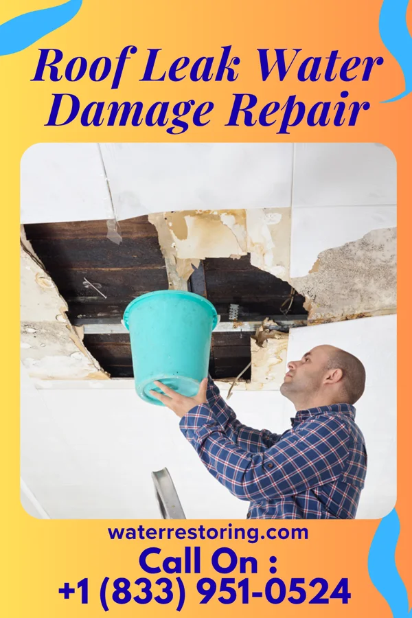 Roof Leak Water Damage Repair in Sussex, NJ