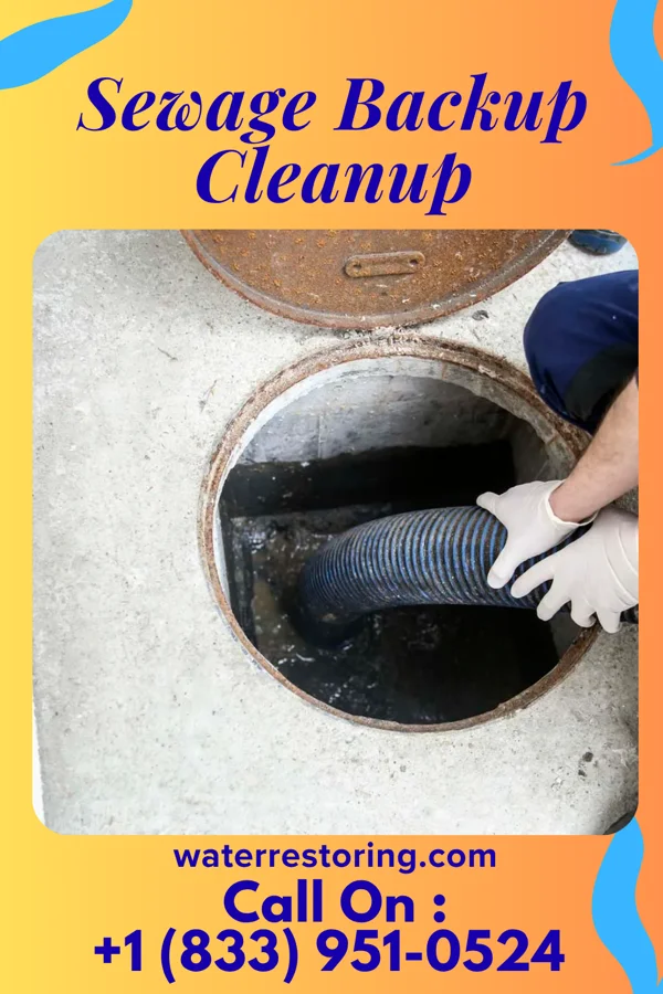 Sewage Backup Cleanup in Sussex, NJ