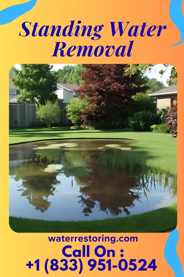 Standing Water Removal in Sussex, NJ